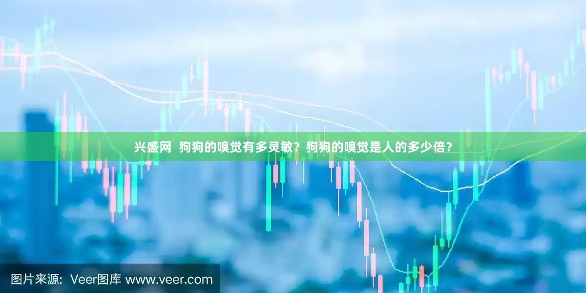 兴盛网  狗狗的嗅觉有多灵敏？狗狗的嗅觉是人的多少倍？