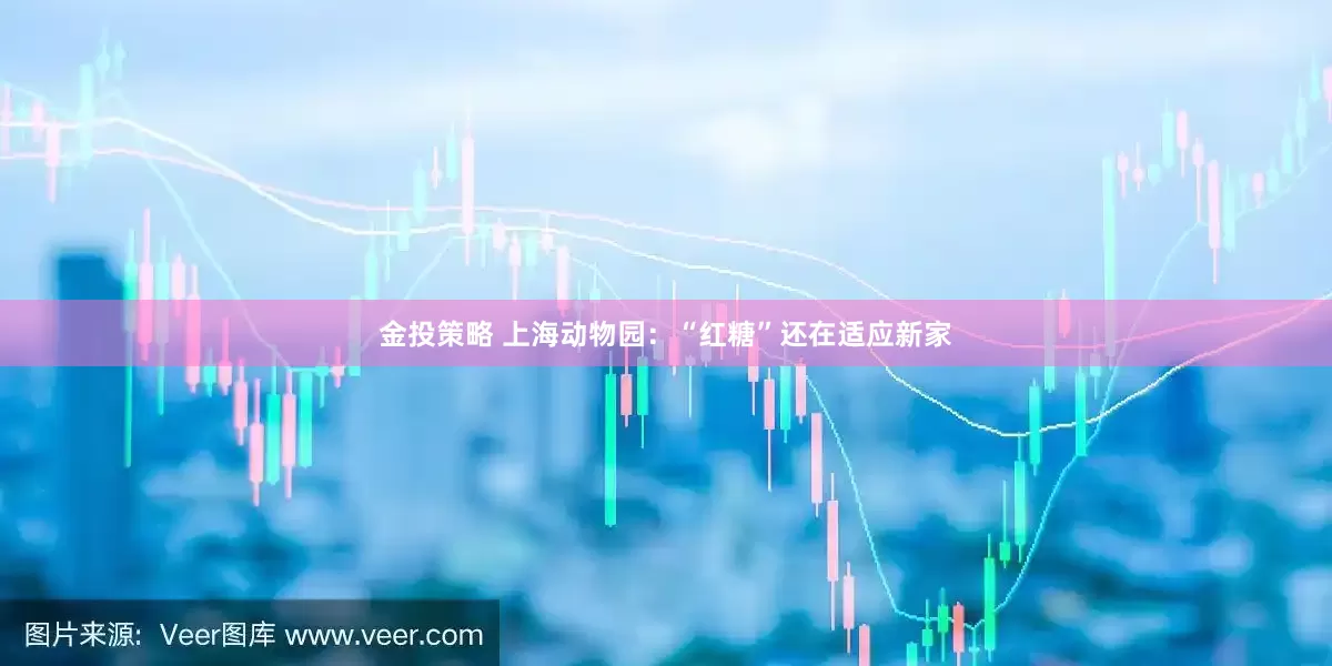 金投策略 上海动物园：“红糖”还在适应新家