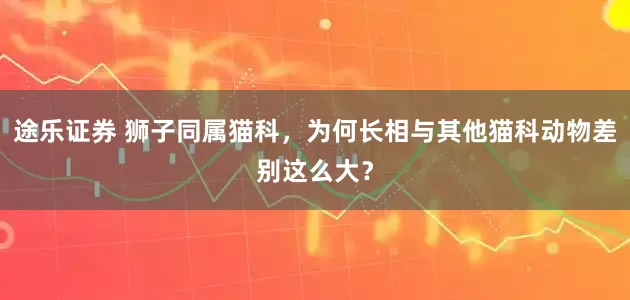 途乐证券 狮子同属猫科，为何长相与其他猫科动物差别这么大？