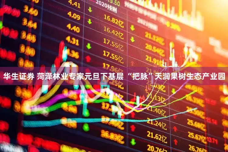 华生证券 菏泽林业专家元旦下基层 “把脉”天润果树生态产业园