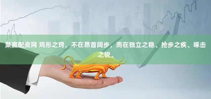 聚赢配资网 鸡形之窍，不在昂首阔步，而在独立之稳、抢步之疾、啄击之锐。