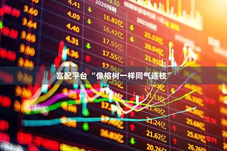 富配平台 “像榕树一样同气连枝”