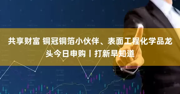 共享财富 铜冠铜箔小伙伴、表面工程化学品龙头今日申购丨打新早知道